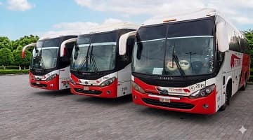 El Tigre Pasajes en micro